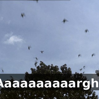 f187b309-2078-47e8-875e-5c3aa3b82d9c.gif