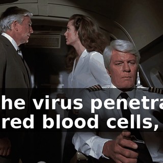 f198866e-ee5f-4c8f-b5d4-481f77dd8803.gif