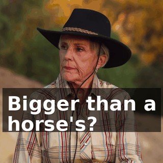 Bigger than a horse's?