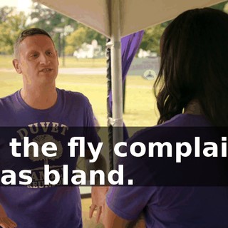 and the fly complained it was bland.