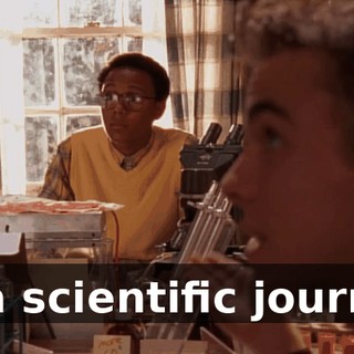 in a scientific journal.