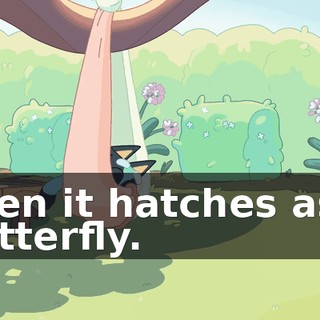 f2802965-b901-40a9-8f43-169c56c858bb.gif