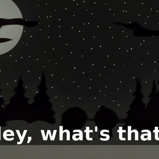 Hey, what's that?