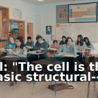 f36e90db-d577-4c28-a988-6370de0b6787.gif
