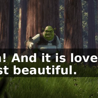 Oh! And it is lovely! Just beautiful.