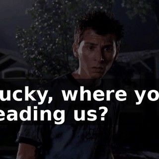 Lucky, where you leading us?