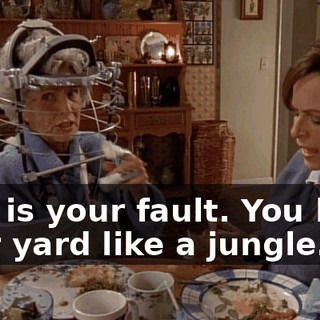 This is your fault. You keep your yard like a jungle.