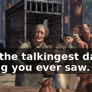 I'm the talkingest damn thing you ever saw.