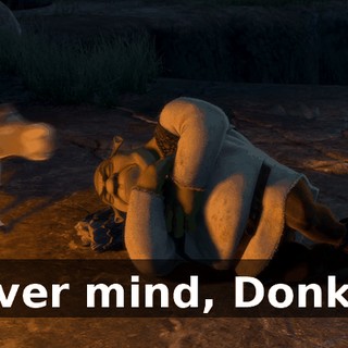 Never mind, Donkey.