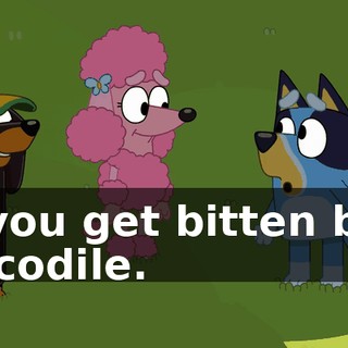 or you get bitten by a crocodile.