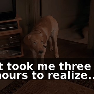 f414fd30-8531-4378-9f8d-f3b28c95012c.gif