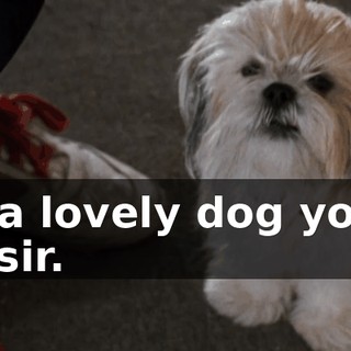 f4692132-7809-4ad5-9f40-2c033f5d1098.gif