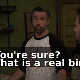 f48c2fc9-6d39-432d-a376-3c6241a5a183.gif