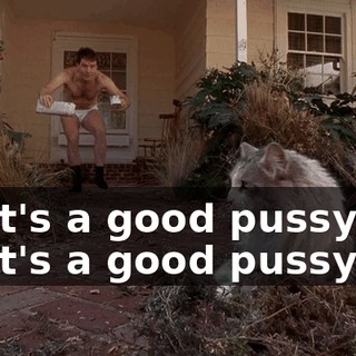 That's a good pussycat. That's a good pussycat.