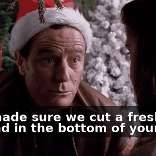 We made sure we cut a fresh wound in the bottom of your tree