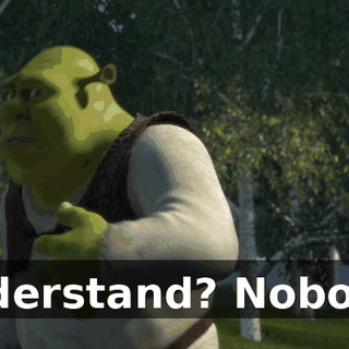 Understand? Nobody!
