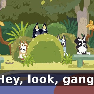 Hey, look, gang.