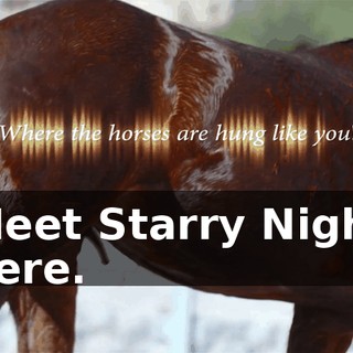 Meet Starry Night here.