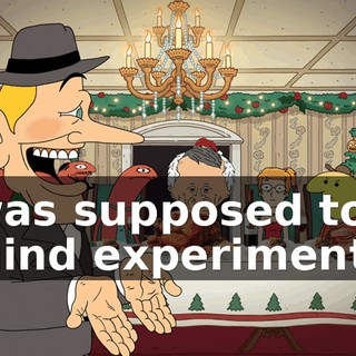 it was supposed to be a mind experiment.