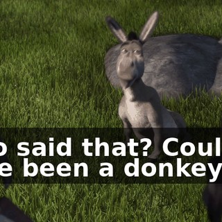 Who said that? Couldn't have been a donkey.