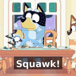 Squawk!