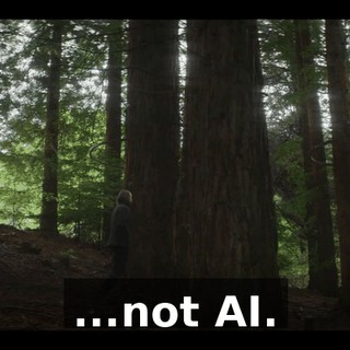 f5a8eb8d-f763-4f0a-b52b-08adfeea19d3.gif