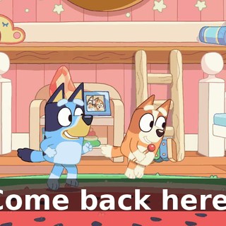 Come back here!