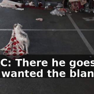 f5f6aaf0-0bcc-4b76-9bbc-4a65c4414290.gif