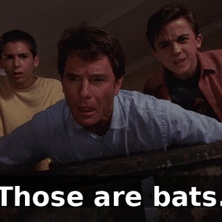 Those are bats.