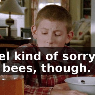 I feel kind of sorry for the bees, though.