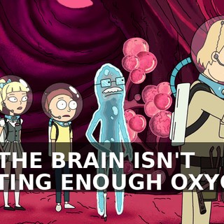 f6bfb851-496a-4653-bf7c-2243463c3a94.gif