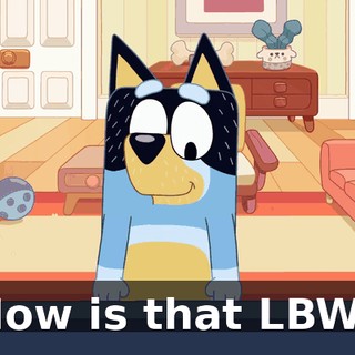 How is that LBW?