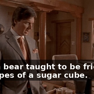 like a bear taught to be friendly in hopes of a sugar cube.