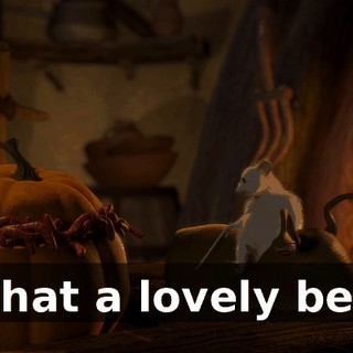 What a lovely bed.