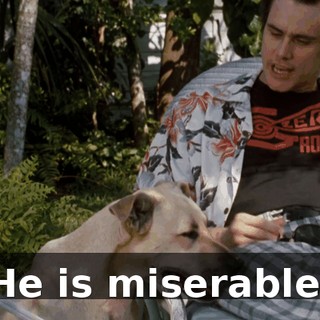 f72817cc-1957-4b55-a487-43e43ca1bcd9.gif