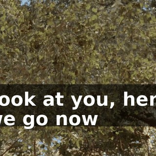 ♪ Look at you, here we go now ♪