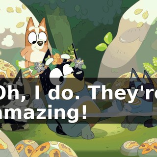 f74176f1-be21-4694-b859-5a75056eed70.gif