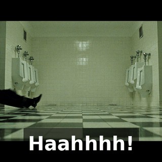 Haahhhh!