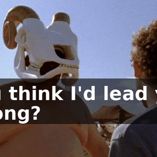 You think I'd lead you wrong?