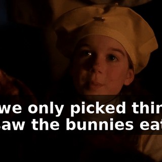 But we only picked things we saw the bunnies eating.