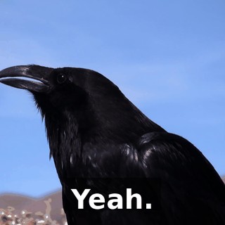 f7b97e71-2245-453e-b3ff-6b052e6a9abd.gif