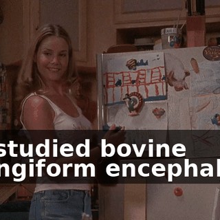 we studied bovine spongiform encephalitis.