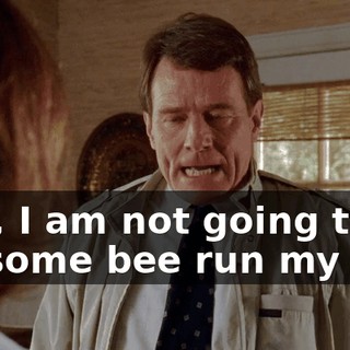Hey, I am not going to let some bee run my life!