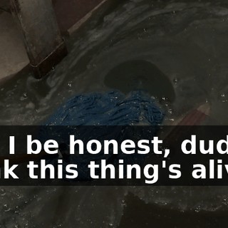 f81d921a-4802-419f-a068-884ca161bb45.gif