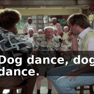 Dog dance, dog dance.