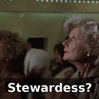 Stewardess?