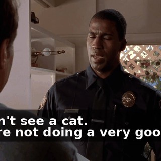 - I don't see a cat. - We're not doing a very good job.