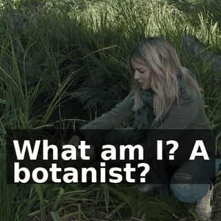 f8ce30e8-14f0-4377-a061-0471ca1ab334.gif