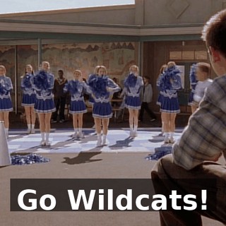 Go Wildcats!