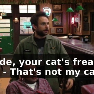 - Dude, your cat's freaking out! - That's not my cat!